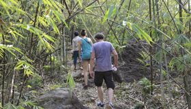 Start your journey with the Cardamom’s vibrant glow